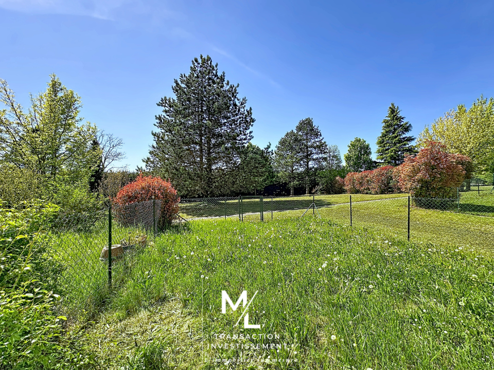 24 1 | ML Transaction Investissement Appartement à Bollwiller Wittenheim 0