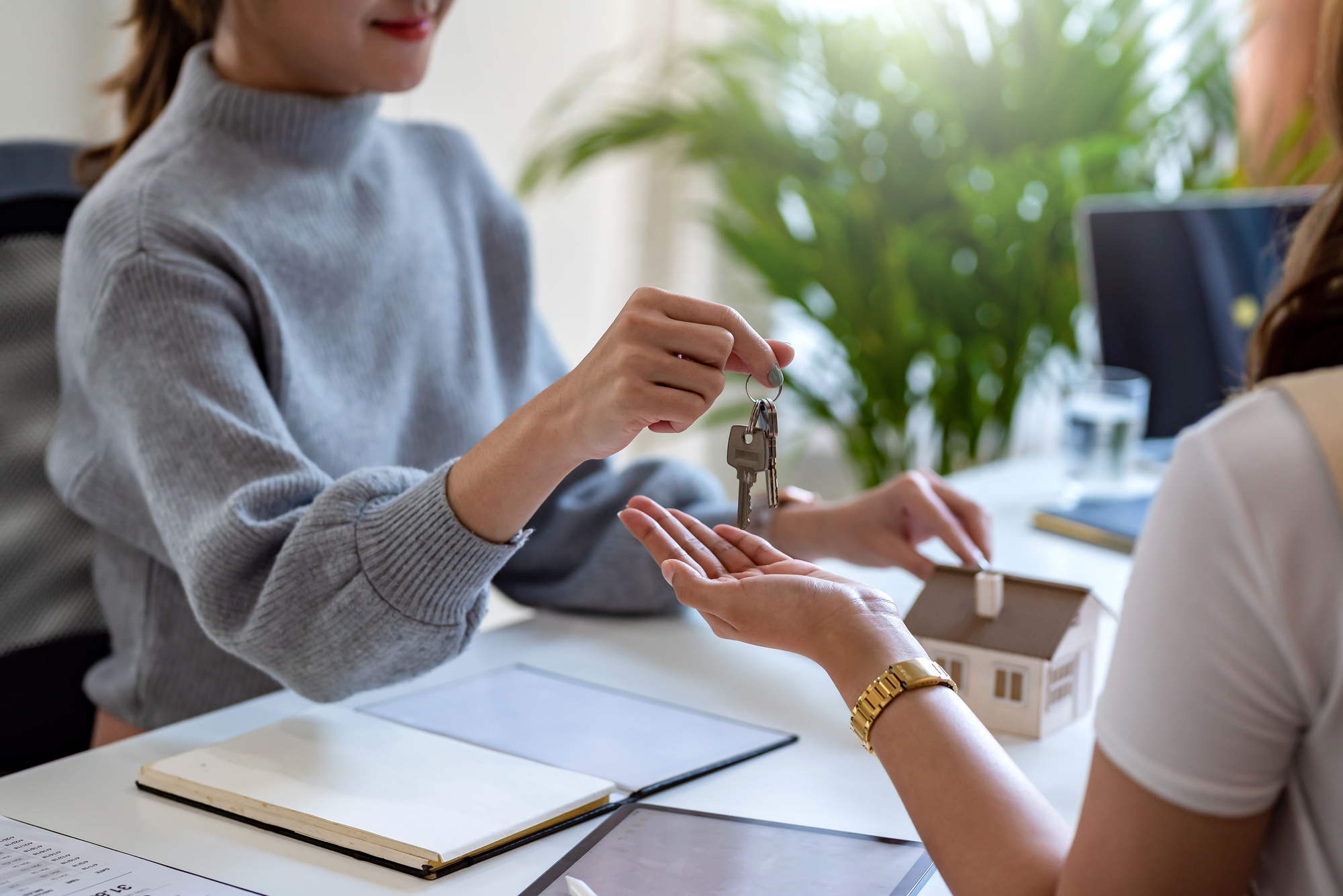 LOCATION PARTICULIER | ML Transaction Investissement Location d’appartements, maisons et locaux professionnels à Guebwiller et dans le Florival Mulhouse 1
