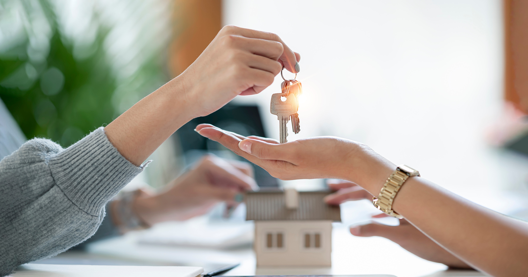 Vente immobili&egrave;re de terrains, appartements, maisons et immeubles &agrave; Guebwiller et dans le Florival Guebwiller 0